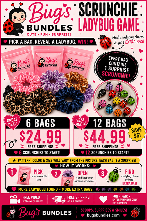 Bug's Bundles Scrunchie Ladybug Game flyer